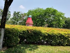 -东莞植物园