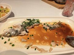 -醉辉皇原味海鲜江南菜(成都大魔方店)