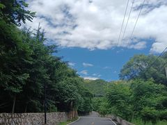 -大岭沟猕猴桃谷风景区
