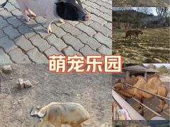 -无锡动物园·太湖欢乐园