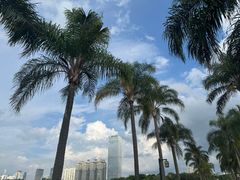 -南宁南湖公园