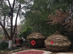 -天目湖山水园
