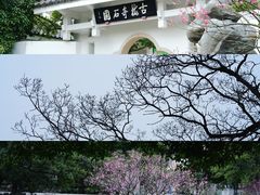 -无锡梅园公园