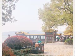 -西湖外事游船(湖滨二公园外事游船码头)