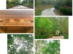 -塘沽森林公园