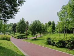 -眉山湿地公园(东坡区)