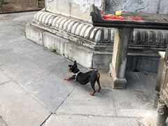 -长春观