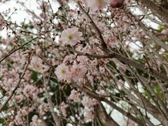 -观澜湖生态运动公社