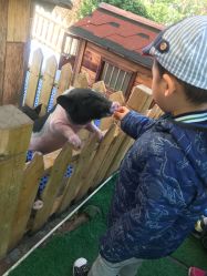 -萌宠亲子动物乐园(槐房万达店)