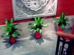 -德兴馆(山西南路店)