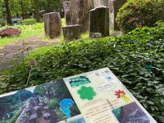 -海口火山口国家地质公园
