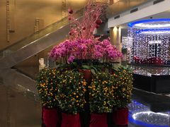 -青岛海尔洲际酒店