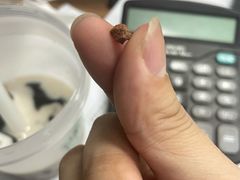 -古茗(恒太城店)