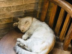 -老屋咖啡