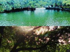 -荔湾湖公园