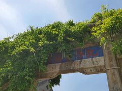 -泰山风景名胜区