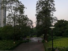 -重庆彩云湖湿地公园