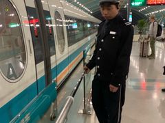 -龙阳路磁悬浮列车总站-停车场