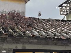 -漫笙舍Manse·咖啡·民宿
