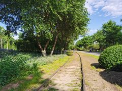 -永定河休闲森林公园