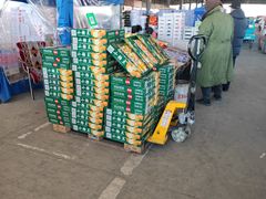 -东方鼎信农副产品交易中心
