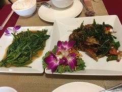 -Daddy Nimman Chiang Mai
