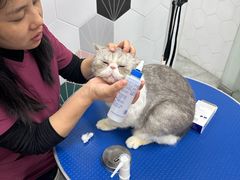 -瑞鹏宠物医院犬猫全科(真大分院)