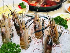 -赵美丽·重庆社区火锅·直营店(火车东站·中豪国际店)