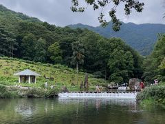 -广州市石门国家森林公园