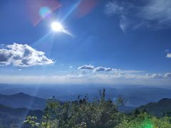 -武陵山森林公园