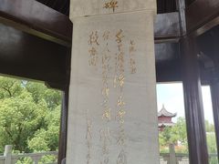 -观潮胜地公园