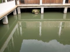 -玉和山庄农家菜