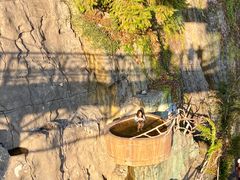 -天芳悦潭度假村温泉