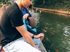 -珠海圆明新园