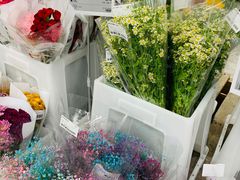 -盒马X会员店(王府井奥莱UP TOWN店)