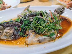 -御同亨酒楼·喜宴