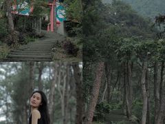 -铁山坪森林公园