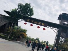 -泗洪洪泽湖湿地景区