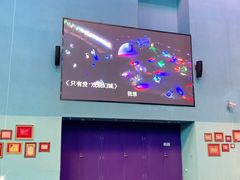 -荷兰花海