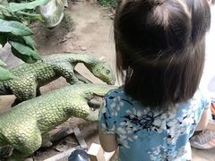-呀路古热带植物园