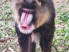 -哈尔滨北方森林动物园