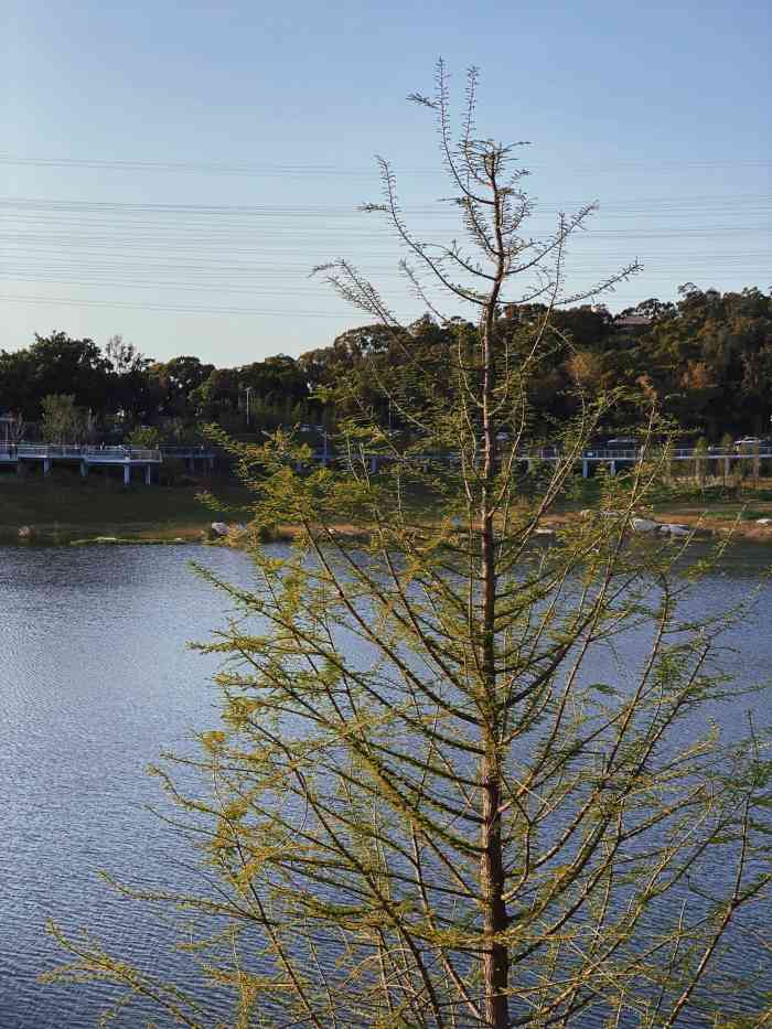 厦门东坪山旅游度假区-"东坪山上有个"怪坡",地处文曾路通往半岭.