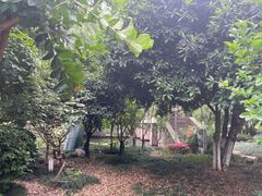 -阮氏酒家(柯桥店)