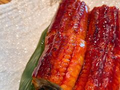 碳烤博多鳗鱼-柚子(假日店)