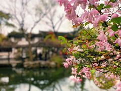 -留园