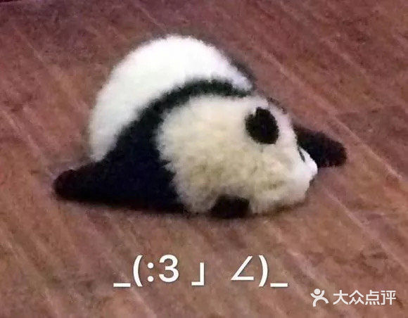 今天也是当野生厨师的一天[调皮]
