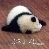 今天也是当野生厨师的一天[调皮]