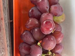 -马陆小张葡萄园农家乐