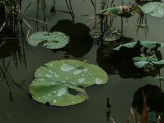 -驿舍·民國老营房院子私房菜(科学会堂店)