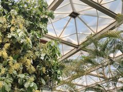 -忆江南·生态餐饮宴会酒店